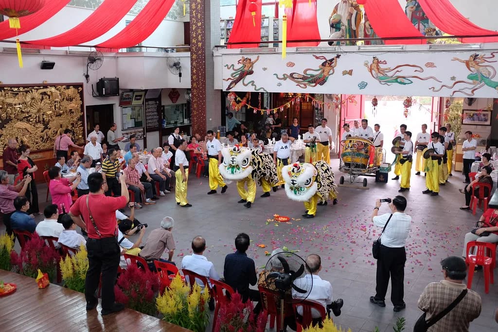 A Vietnamese lion dance performance at a community celebration